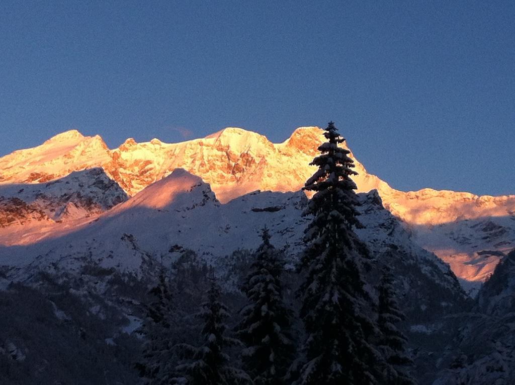 Tre Alberi Liberi Bed & Breakfast Alagna Valsesia Exterior photo
